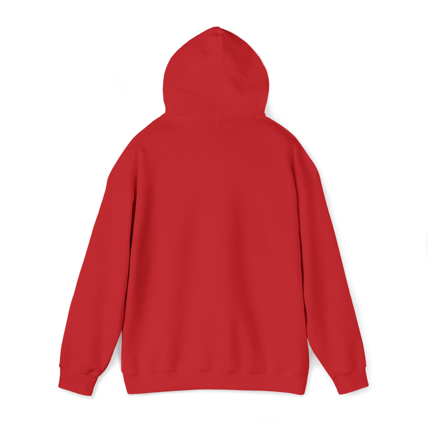 MnSportNews Logo - Hooded Sweatshirt